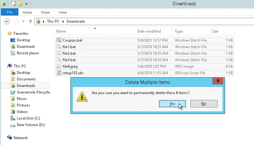 Removing suspicious files in the Downloads\ folder